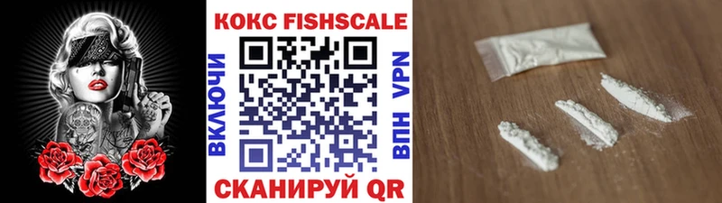 Купить закладки  Великий Устюг  COCAIN Эквадор 