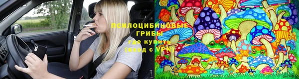 spice Зеленодольск