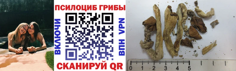 Купить где  Великий Устюг  Галлюциногенные грибы MAGIC MUSHROOMS 